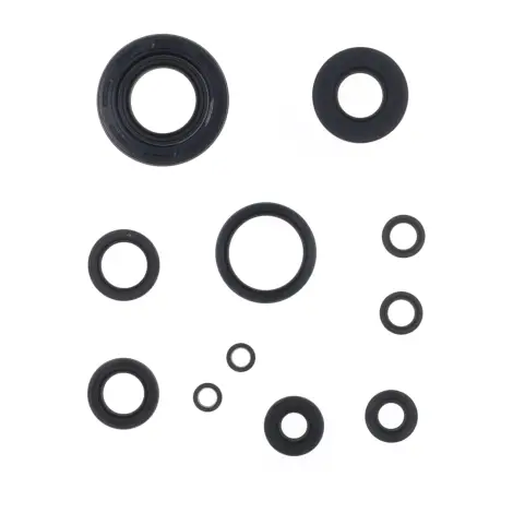 Serie Paraolio Motor