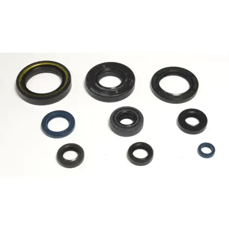 Serie Paraolio Motor