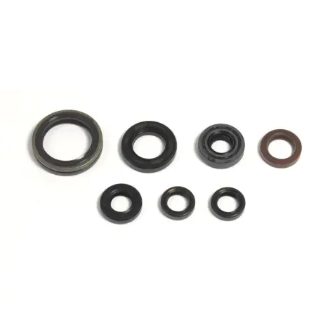 Serie Paraolio Motor
