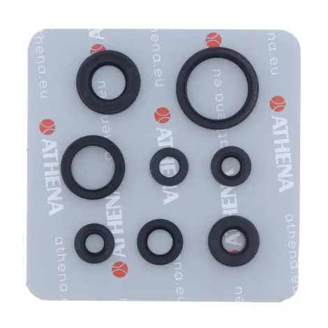 Serie Paraolio Motor