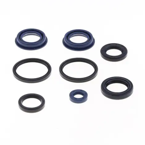Serie Paraolio Motor