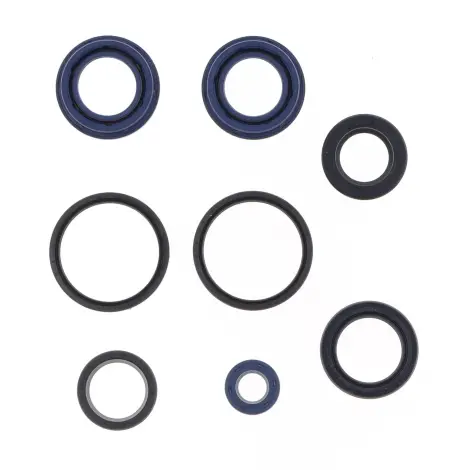Serie Paraolio Motor