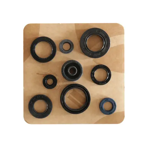 Serie Paraolio Motor