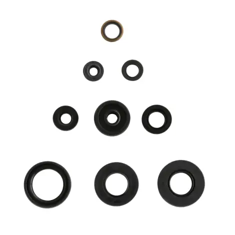 Serie Paraolio Motor