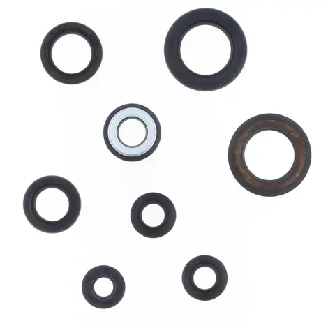 Serie Paraolio Motor