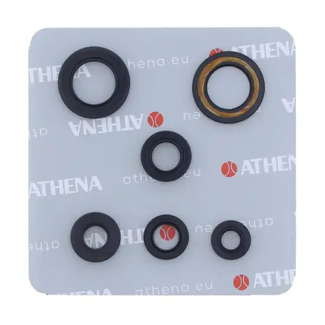 Serie Paraolio Motor