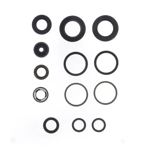 Serie Paraolio Motor