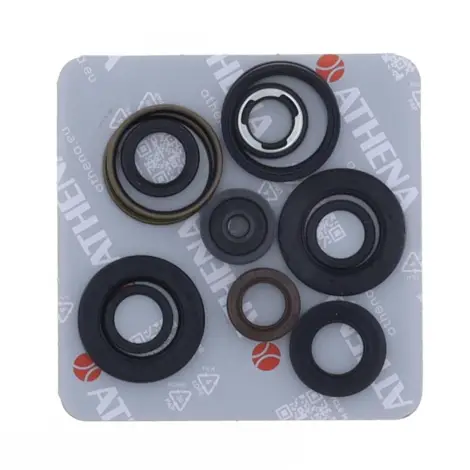 Serie Paraolio Motor