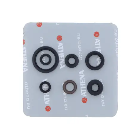 Serie Paraolio Motor