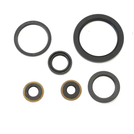 Serie Paraolio Motor