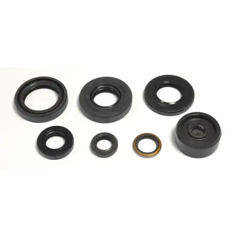 Serie Paraolio Motor