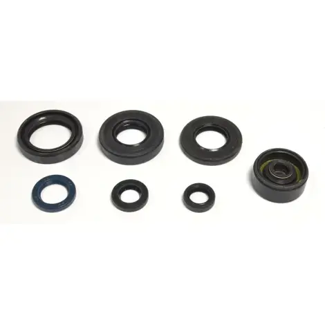 Serie Paraolio Motor