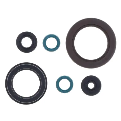 Serie Paraolio Motor
