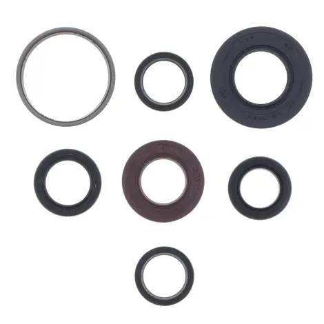 Serie Paraolio Motor