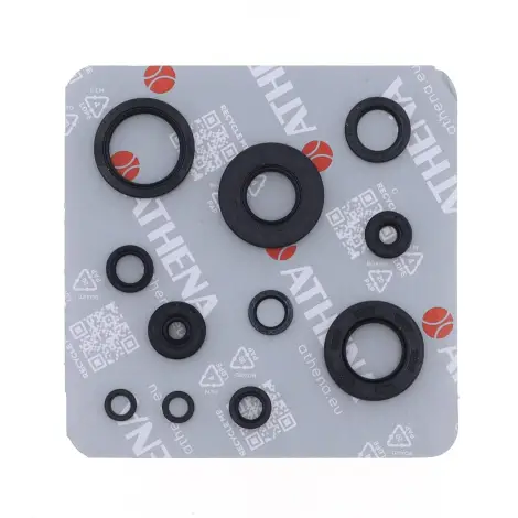 Serie Paraolio Motor