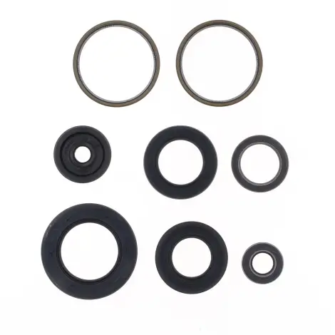 Serie Paraolio Motor