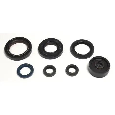 Serie Paraolio Motor