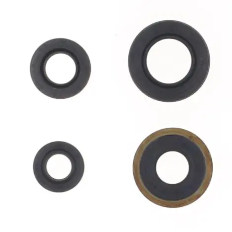 Serie Paraolio Motor