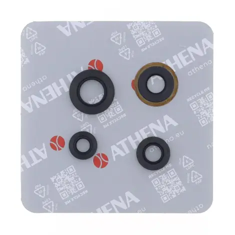 Serie Paraolio Motor