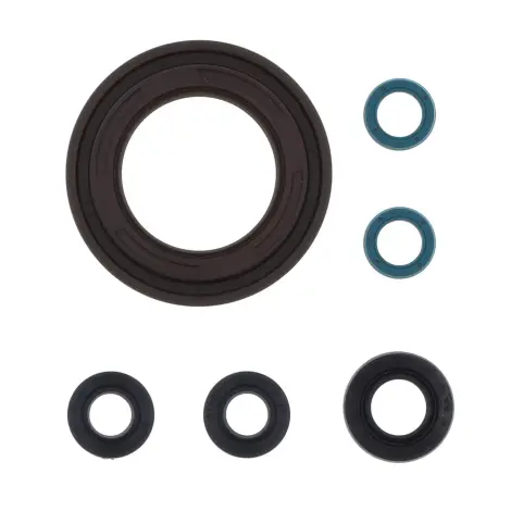 Serie Paraolio Motor