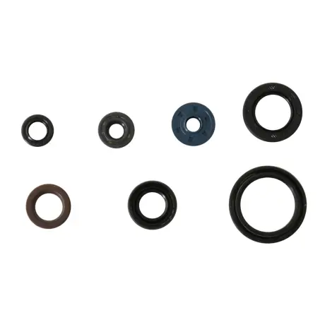 Serie Paraolio Motor
