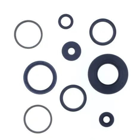 Serie Paraolio Motor