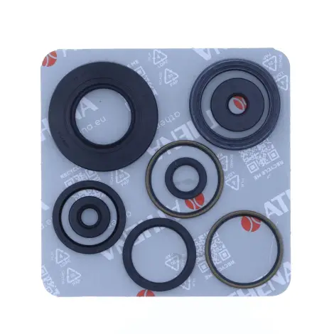 Serie Paraolio Motor