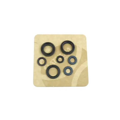 Serie Paraolio Motor