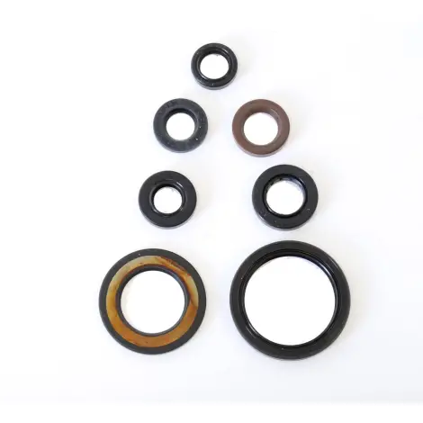 Serie Paraolio Motor