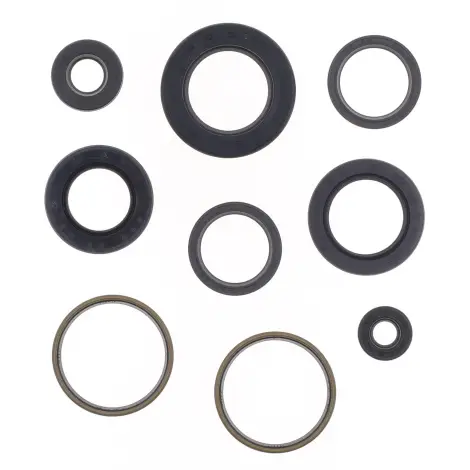 Serie Paraolio Motor
