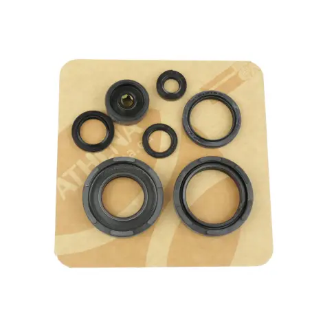 Serie Paraolio Motor