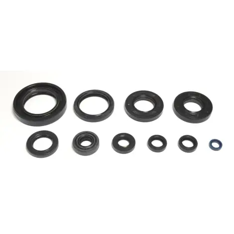 Serie Paraolio Motor