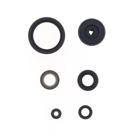 Serie Paraolio Motor