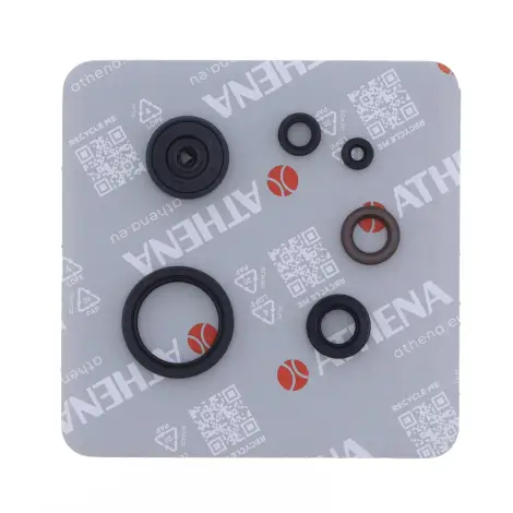 Serie Paraolio Motor
