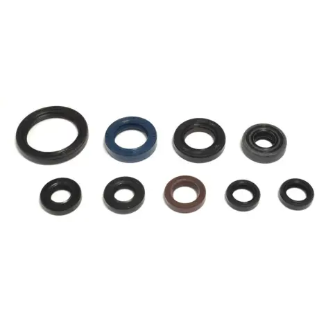 Serie Paraolio Motor