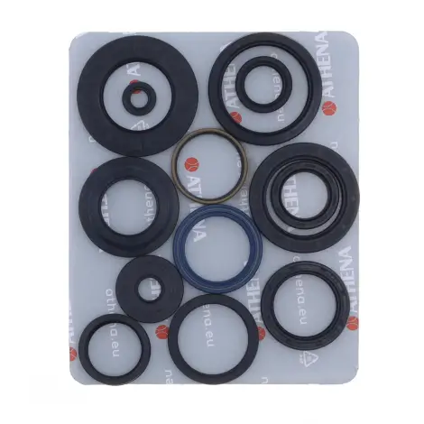 Serie Paraolio Motor