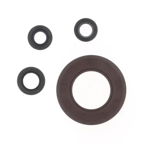 Serie Paraolio Motor