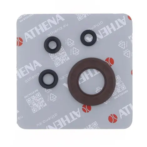 Serie Paraolio Motor