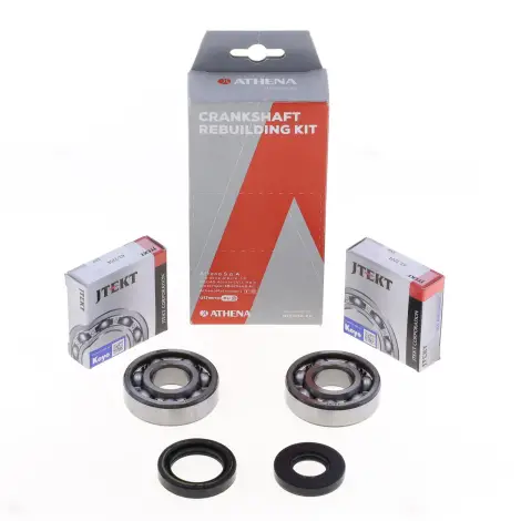 Kit Revisione Albero