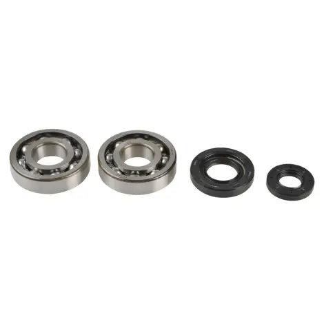 Kit Revisione Albero