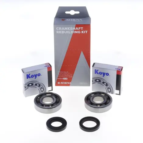 Kit Revisione Albero