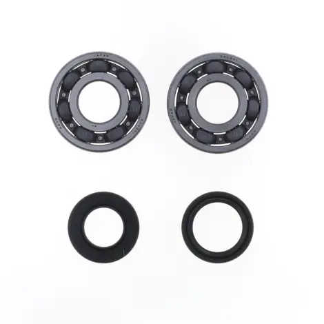 Kit Revisione Albero
