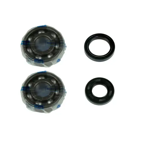 Kit Revisione Albero