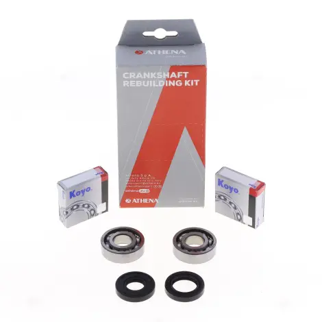 Kit Revisione Albero