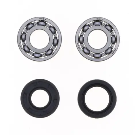 Kit Revisione Albero