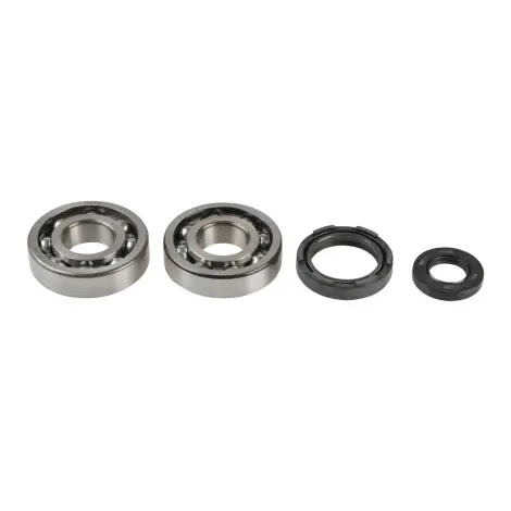 Kit Revisione Albero