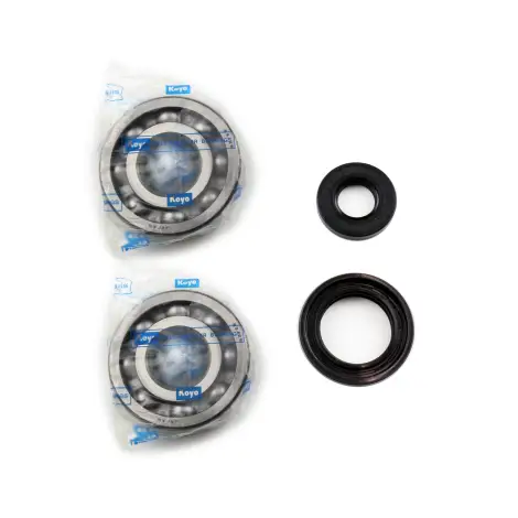 Kit Revisione Albero