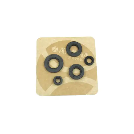 Serie Paraolio Motor