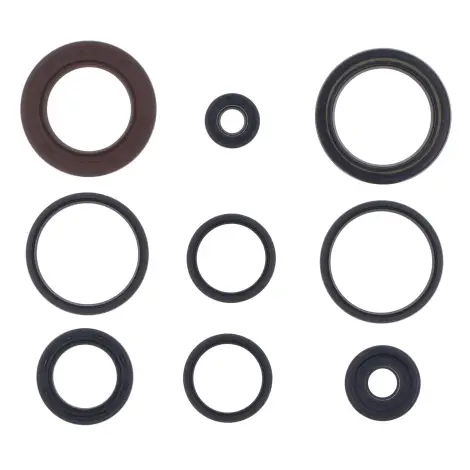 Serie Paraolio Motor