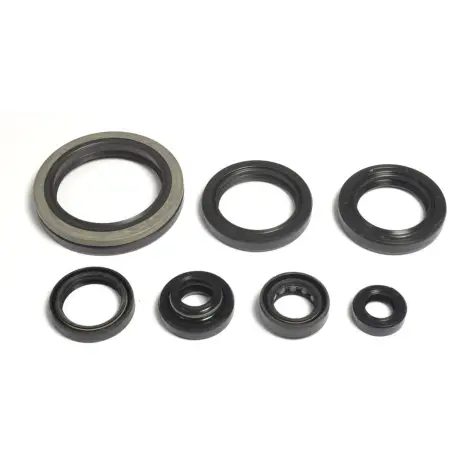 Serie Paraolio Motor